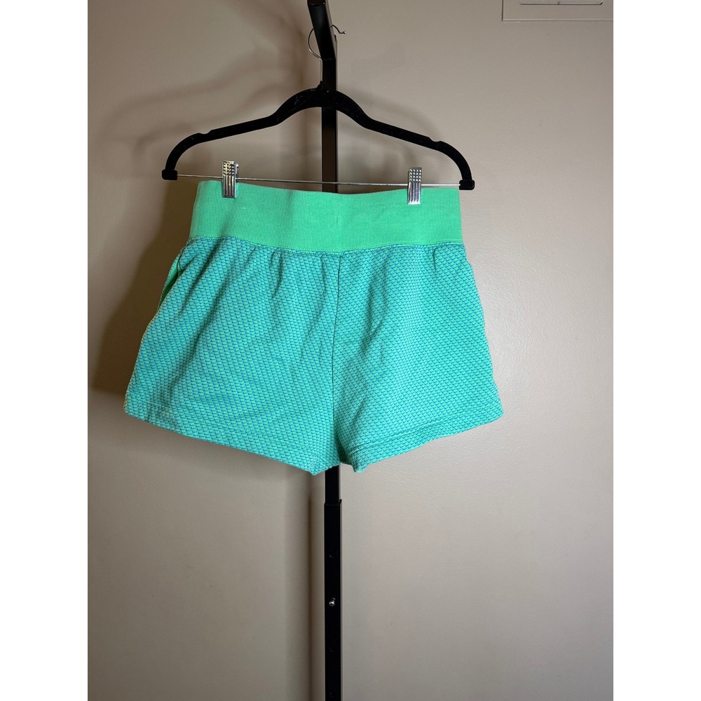 Nike Womens Green Blue Micro Swoosh Logo Knit Athletic Shorts Medium - Picture 1 of 4